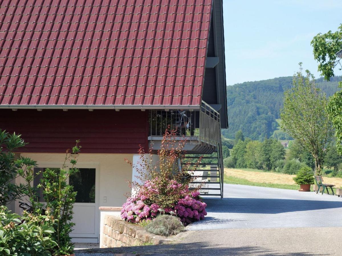 Ferienwohnungen Braun Seelbach  Esterno foto
