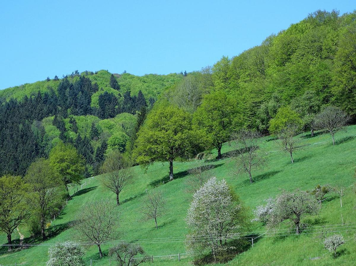 Ferienwohnungen Braun Seelbach  Esterno foto